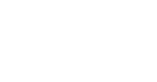 Amevi Logo